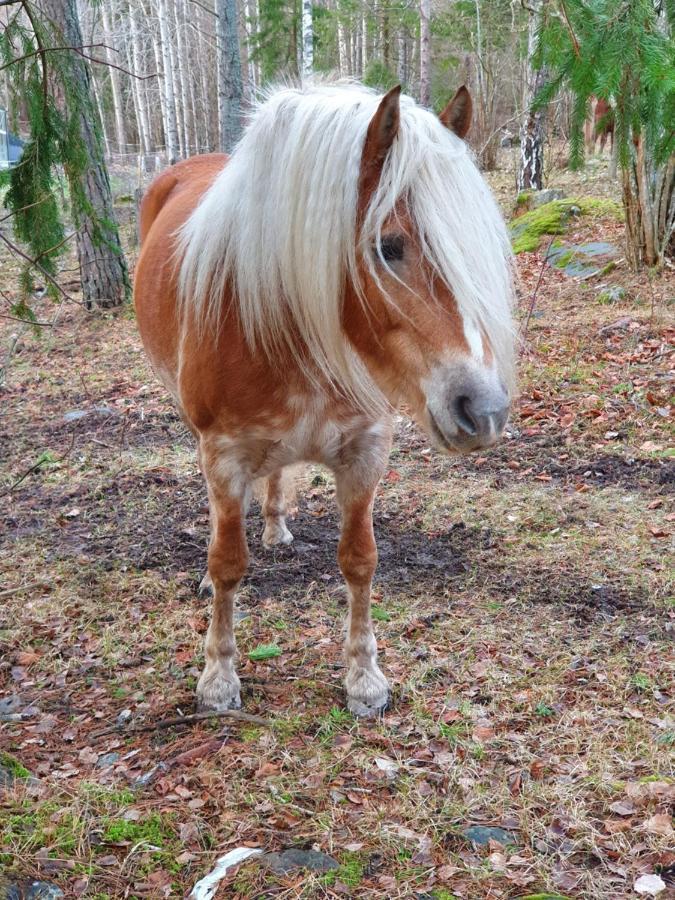 Haga Gard Och Stall Herräng Zewnętrze zdjęcie