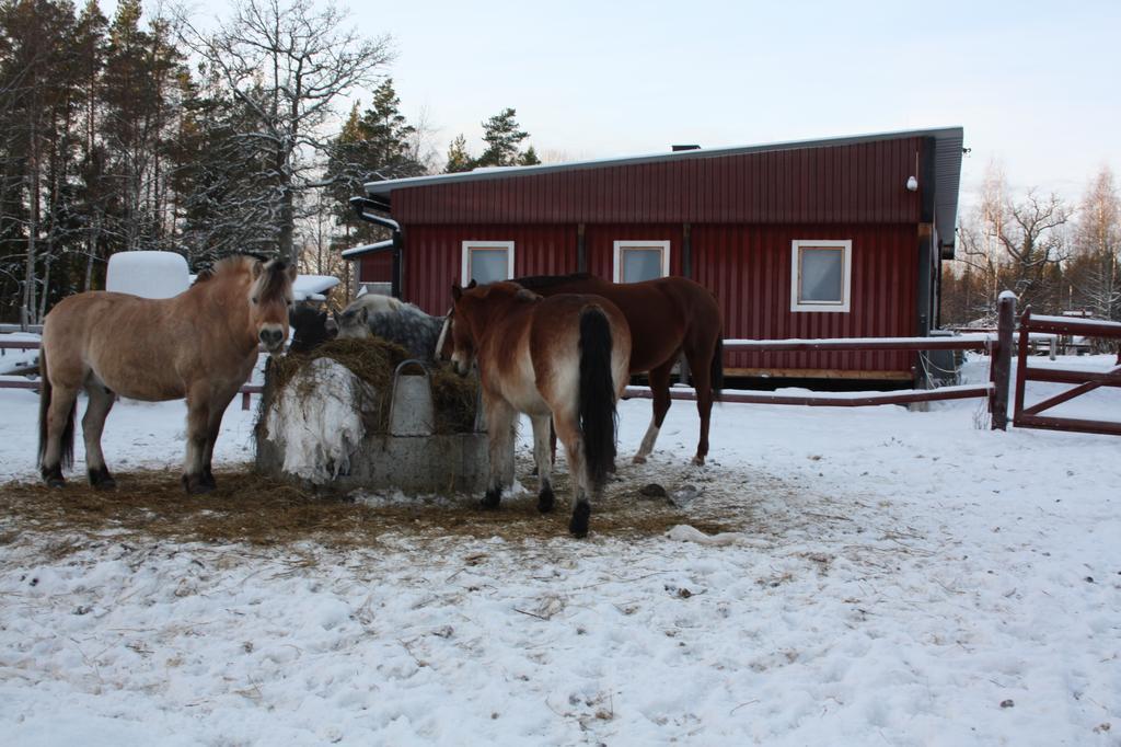 Haga Gard Och Stall Herräng Zewnętrze zdjęcie