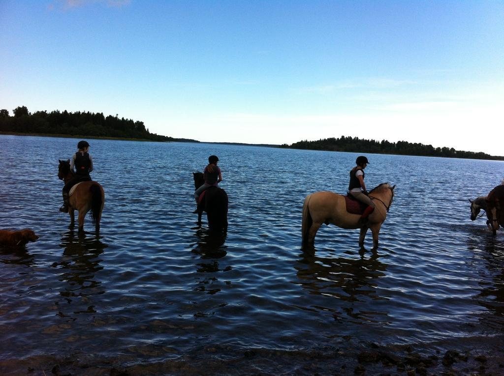 Haga Gard Och Stall Herräng Zewnętrze zdjęcie